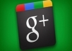 provide you 30+ google+1 like/vote,100% real & active only