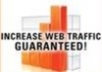show five Super Fast, Easy Strategies To Get Traffic To Your Niche Sites