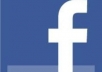 create a professional facebook page for your business or organization and include 25 likes in 24 hours