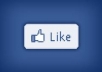 invite 2,000 of my friends to like your fanpage and promote your link or website to 12,000 friends and subscribers