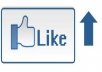 invite 1,000 of my friends to like your fanpage and promote your link or website to 12,000 friends and subscribers