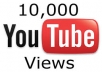 give 10,000+ youtube views within 24 hours