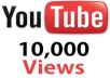provide more than 10,000 Youtube Views to your Video