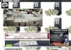 Money Talks