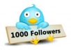 add 1000+ twitter followers on your twitter account