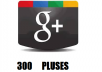 increase your site or google plus with 300 google pluses
