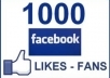 give you 1000 to 1200 Real looking facebook likes or fans to your facebook fanpages, all likes deliver within 72 hours