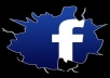 Get you 490+ Facebook Like 100% real on your website, real work delivery Only