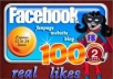 give 100+ real like facebook fans USA, uk for your facebook fanpage with fast delivery!!!!