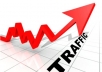 send you 1000 unique visitors click traffic to your site