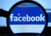 give you 520++ facebook fan likes real like b...