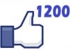 give you 1200+ likes to your facebook photo, video, post or status
