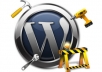 fix one minor problem on your Wordpress blog or add a function or feature ...!!!!