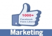give you 1,000 Real Facebook Active WorldWide Likes for