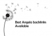 put your site on @FIRST page google with 700+ pr 9 to 2 Angela style backlinks