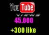 give your YouTube Video Over 45000 Views + 300 Likes  Guaranteed within 48hours - 98 hours