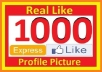 give 1000+ High Quality Real, Active and Permanent Facebook Likes or Fans to your facebook fan Page
