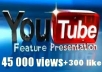 give your YouTube Video Over 45000+ Views + 300+ Likes Guaranteed within 48hours - 98 hours