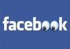 add 1000 usa facebook fanpage likes with in 2 days
