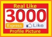 give 3000+ High Quality Facebook Likes or Fans to your facebook fan Page, all likes deliver within 1 day ...!!!!!!!!
