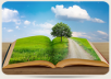 add your website or blog to my page rank 3 directory website, Permanent added, Very cheap rates