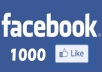 I will add 1000  Facebook Likes To Facebook Page