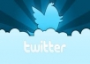 Give you 353+ Twitter Followers,100% real & active user