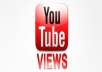 give your YouTube Video Over 9000+ Unique Real Views Guaranteed within 48hrs to 96 hrs