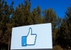 Get you 75+ Facebook Like, 100% real & Genuine only