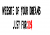 create professional website