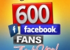 Get You 600 Verified Facebook Likes
