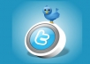 get you 10000+ twitter followers in your twitter account just few hours
