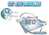 put your site on FIRST page google search with 700+ Angela backlinks, all backlinks are pinged, dofollow backlinks, profile backlinks
