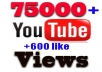 give your YouTube Video Over 75000+ Views + 600 Likes +  Guaranteed within 72hours - 98 hours