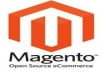 provide MAGENTO installed under professional hosting 20 GB