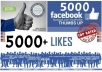 add 1200+ High Quality Real, Active and Permanent Facebook Likes or Fans to your facebook fan Page, all likes deliver within 24hours 