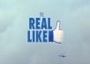 add 450+ Real Facebook Likes to Your Website or Blog {No Fanpage} Facebook Likes within 24 Hours