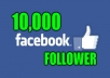 deliver 10000 facebook follower to your profile