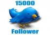 add 15,000 REAL look twitter followers to your account twitter in 24 hours, No un follow, egger and without your password