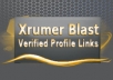 PROVIDE 6.000 XRUMER BACKLINKS