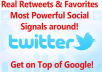 Do SocialSEO ( Social +SEO) for your website for 1 Month...First time in SeoClerks