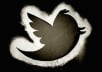 give you 1000 high quality twitter followers within 24 hours without admin access