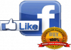 2.000 Genuine High Quality REAL Facebook Fan Page Likes