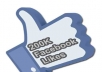 provide 200k facebook fan page likes