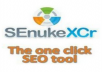 use SeNuke-X to nuke your website and it will give you more traffic and this is only