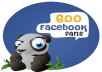 600 Real Facebook Likes only within 24 hours