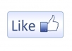 give you 4000 high Quality facebook like within 24hours