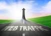 send you 10000+ visitors|| GUARANTEEd || Adsense Safe Keywords,Genuine Real Human TRAFFIC to your website