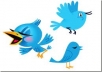 add 8000+ twitter follower to your any twitter account less than 1 days