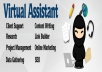 be your virtual assistant for 1 hours 